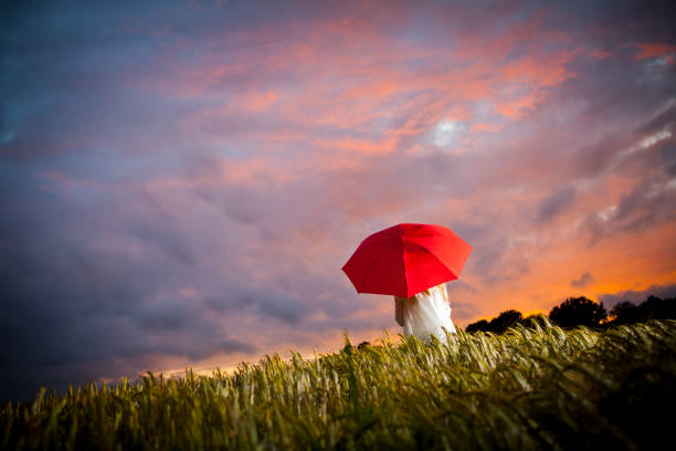 Field of Dreams