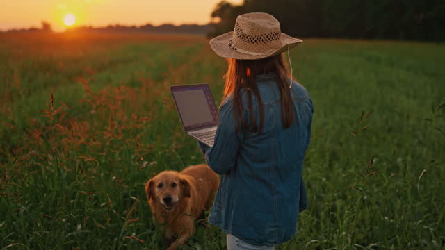 SLO MO Female Agronomist Using Laptop while Walking with Golden Retriever on Agricultural Field at Sunrise