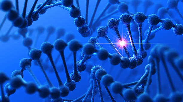DNA Modification Genetics background. 3D render. genetic mutation stock pictures, royalty-free photos & images