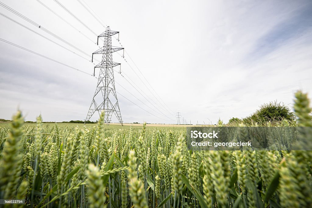 Electricity Supply Through the Countryside A row of large electricity pylons in rural England. Electricity Pylon Stock Photo