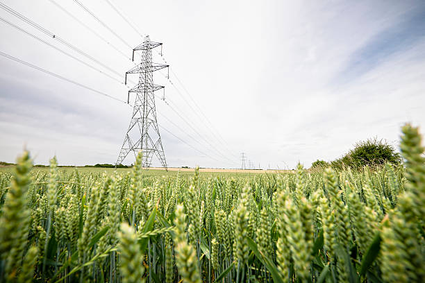 Electricity Supply Through the Countryside A row of large electricity pylons in rural England. electricity pylon stock pictures, royalty-free photos & images