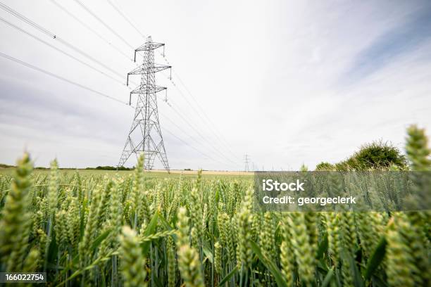 Electricity Supply Through The Countryside Stock Photo - Download Image Now - Electricity Pylon, UK, Agricultural Field