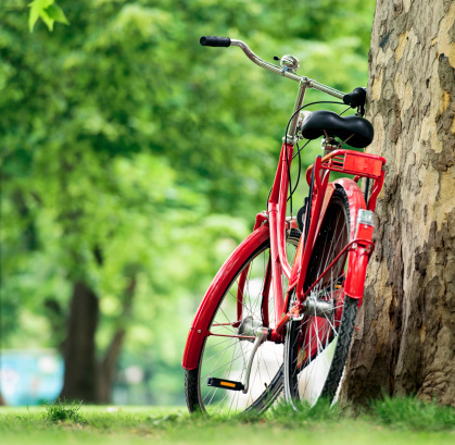A red bike propped up against a tree in a public park during summer.