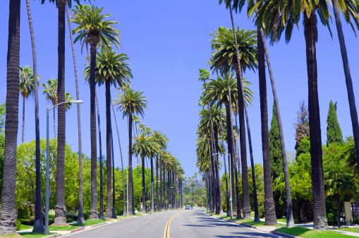 A residential street with palm trees in Los Angeles County.