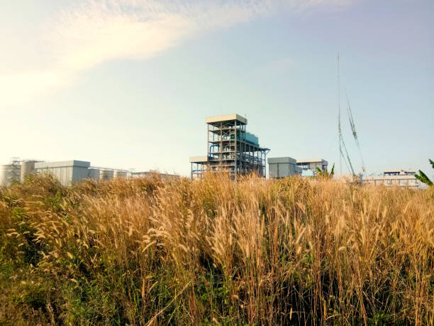Factory seen from behind overgrown brown weeds