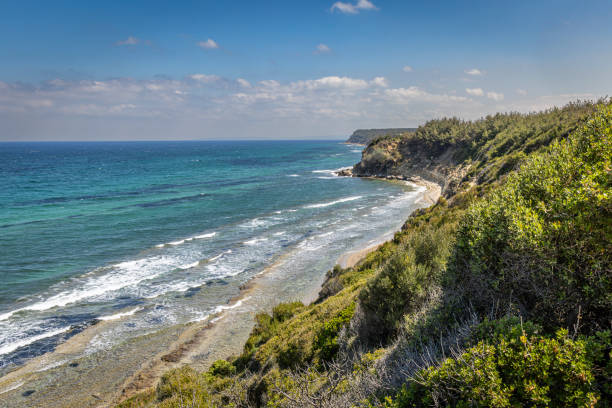 x beach en la península de gallipoli, canakkale, turquía. aquí es donde el 25 de abril de 1915, un batallón británico reforzado aterrizó en dos oleadas en la península de gallipoli en turquía. - cemetery grave military beauty in nature fotografías e imágenes de stock