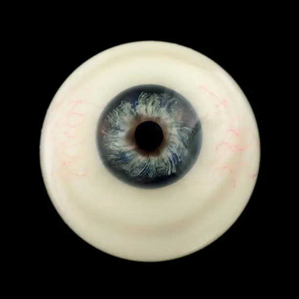 This realistic looking blown glass eyeball was made for a famous London waxworks museum.