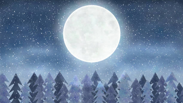 istock Winter landscape with full moon and fir trees illustration 1660261349