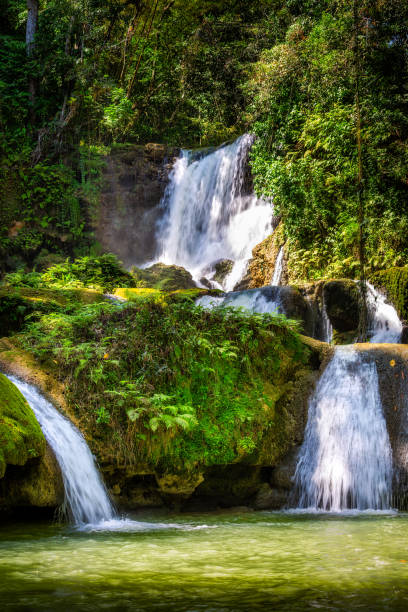 водопады ys на ямайке - waterfall tropical rainforest water jamaica стоковые фото и изображения