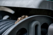 Pest Management Dilemma: Wasp Nest Coiled on House Exterior Hose Reel