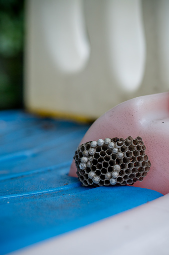 A close-up look at a wasp nest perched on children's playground equipment highlights the importance of pest control in ensuring safe and pest-free play areas for kids