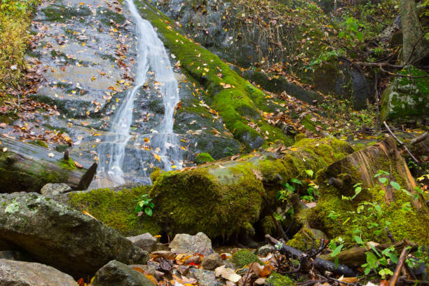 istock Sights on the Blue Ridge Parkway in Virginia 1660325790