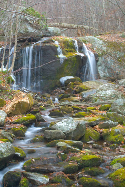 istock Sights on the Blue Ridge Parkway in Virginia 1660334592
