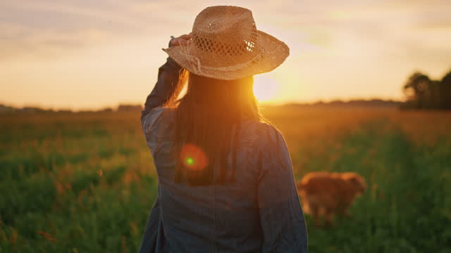 SLO MO Female Agronomist Walking with Laptop and Putting on Sunhat in Agricultural Field at Sunrise
