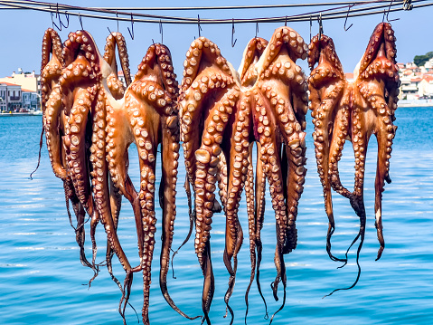Freshly caught Octopus hanging drying by natural air  on the beach and exposed to the summer sun at a typical traditional taverna in Greece. Travel and food background with sea view.
