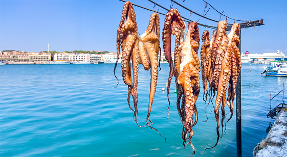 Freshly caught Octopus hanging drying by natural air  on the beach and exposed to the summer sun at a typical traditional taverna in Greece. Travel and food background with sea view.