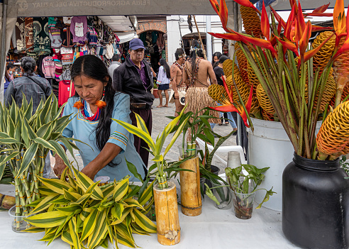 Cuenca, Ecuador - March 25, 2023: Pastaza province craft fair in Cuenca. An Amazonian Kichwa (Quechua) Nationality woman in typical dress sells plants from the jungle.