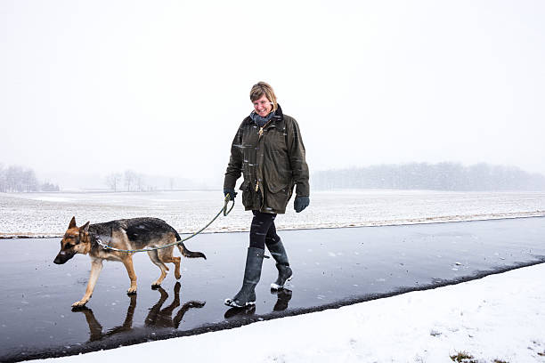 istock Woman walking her dog during a snow storm. 166041202