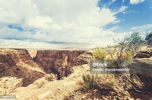 Photo libre de droit de Parc National Du Grand Canyon En Arizona banque d'images et plus d'images libres de droit de Amérique du Nord - Amérique du Nord, Angle de prise de vue, Arizona