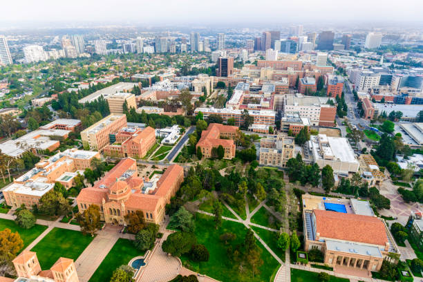 UCLA campus in Los Angeles, California - aerial view aerial view of campus of University of California in Los Angeles, with smoggy cityscape of Los Angeles, California in the background ucla photos stock pictures, royalty-free photos & images