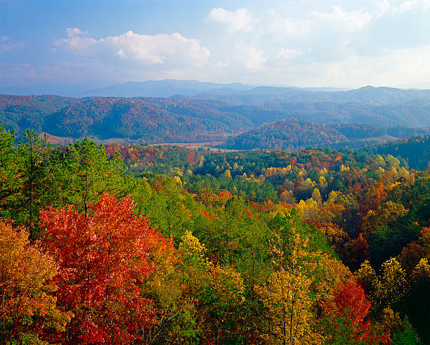 Smoky Mountains autumn hazy "smoky" view of the autumn panorama of the Smokies from Foothills Parkway, near Maryville, Tennessee tennessee stock pictures, royalty-free photos & images