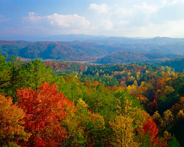 Smoky Mountains autumn hazy "smoky" view of the autumn panorama of the Smokies from Foothills Parkway, near Maryville, Tennessee gatlinburg great smoky mountains national park north america tennessee stock pictures, royalty-free photos & images