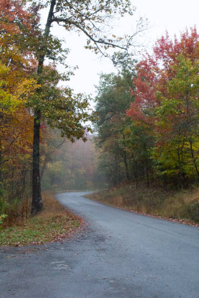 istock Massanutten Scenic Drive in Autumn, Virginia 1660432054