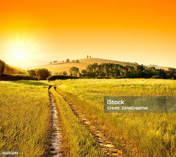 夏のレッドの日の出または日没イタリアのトスカーナの丘陵のパス - イタリアのストックフォトや画像を多数ご用意 - イタリア, オレンジ色, カラフル