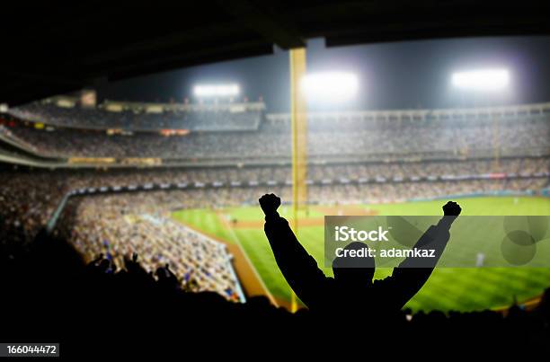Baseballspaß Stockfoto und mehr Bilder von Baseball - Baseball, Baseball-Spielball, Stadion