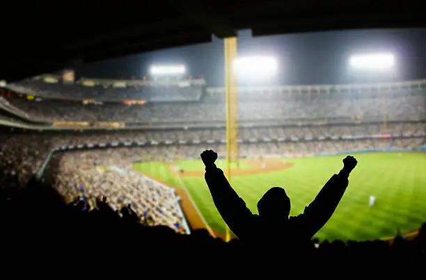 Fans excited at a baseball game
