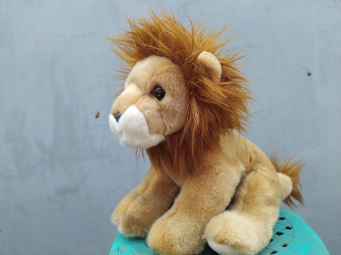 The lion doll with a gray background is cute and adorable