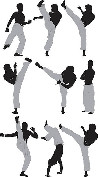 ilustrações, clipart, desenhos animados e ícones de homens exercendo capoeira - high kick illustrations