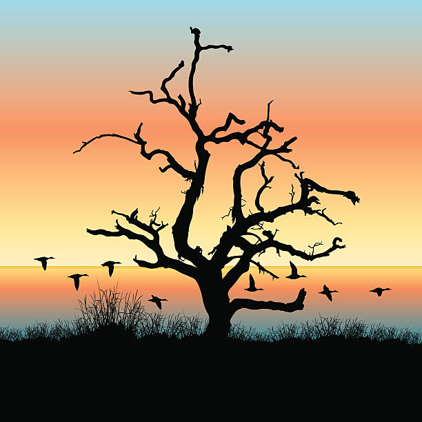 Old Oak Tree Old oak tree on a shoreline in front of a dusky sky. A flock of ducks fly low along the water.  Easy to change colors or delete objects as needed. Ducks and grass are grouped.  Each duck is slightly different. Tree is complete, with roots hidden behind grass in this illustration.  Several rectangles with different gradients are used for sky.  EPS vs 8. marsh illustrations stock illustrations
