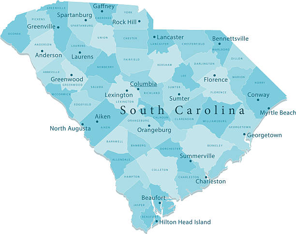 south carolina vektor-karte regionen isoliert - south carolina map columbia south carolina usa stock-grafiken, -clipart, -cartoons und -symbole