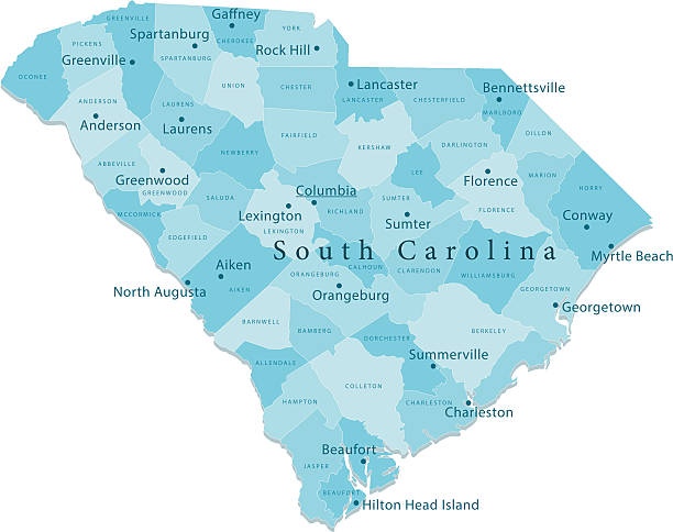 южная каролина векторная карта регионах изолированные - south carolina stock illustrations