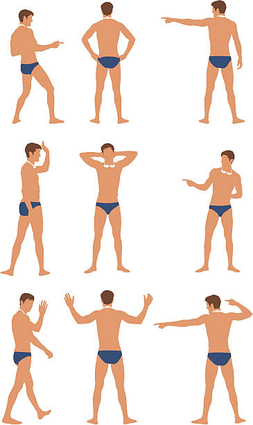 wiele obrazów z pływak - muscular build white background men shirtless stock illustrations