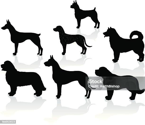 Travail Chiensdalmatien Terriers Les Dobermans Saint Bernard De Boxe De Chien Darrêt Danois Ancestral Vecteurs libres de droits et plus d'images vectorielles de Dobermann