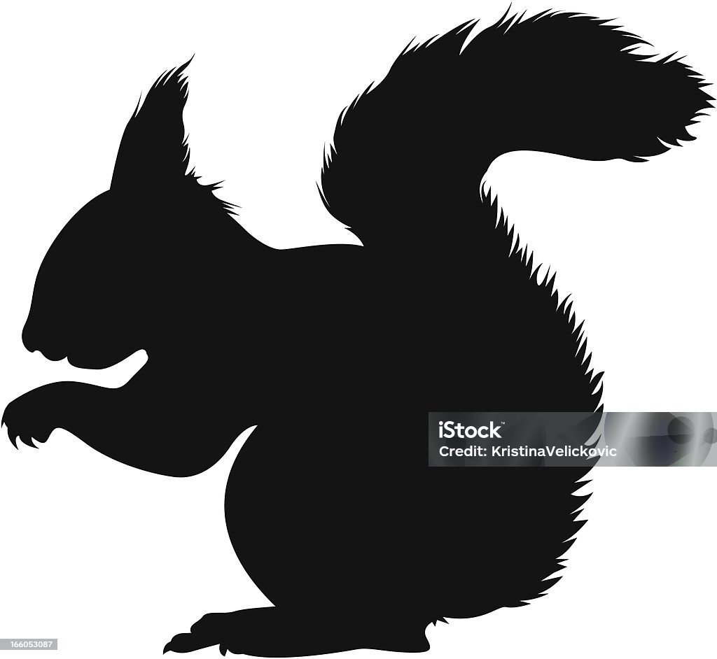 Squirrel vector file of squirrel Squirrel stock vector