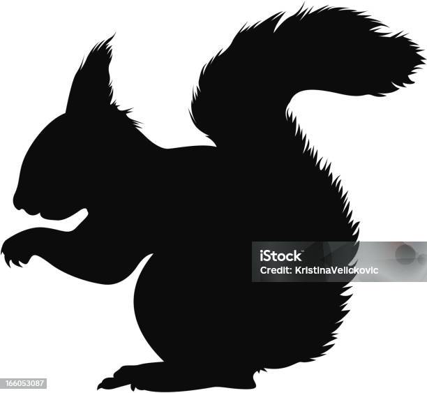 Squirrel Stock Illustration - Download Image Now - Squirrel, In Silhouette, Vector