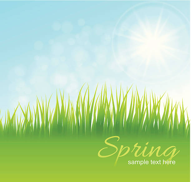 wiosna tle - easter vector corner nature stock illustrations