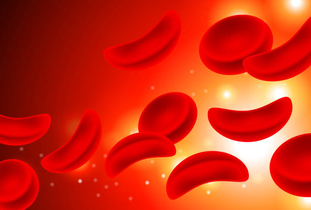 ilustraciones, imágenes clip art, dibujos animados e iconos de stock de anemia de células falciformes eritrocitos en flujo de sangre - sickle cell anemia red blood cell blood cell anemia