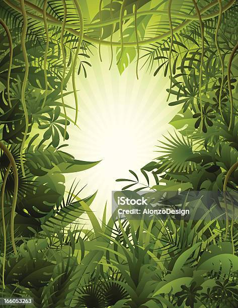 Foresta Pluviale Tropicale - Immagini vettoriali stock e altre immagini di Foresta pluviale - Foresta pluviale, Foresta pluviale tropicale, Foglia