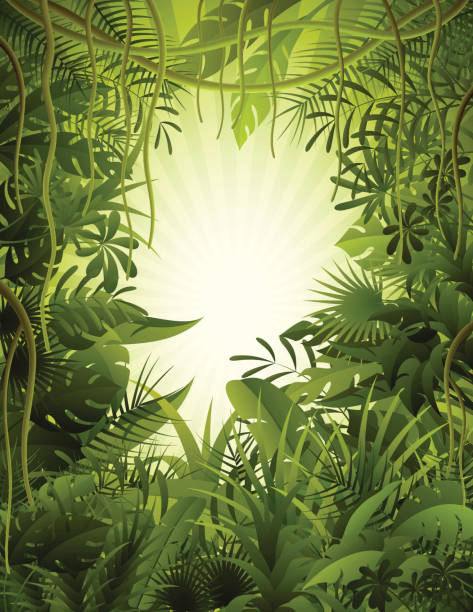 Tropical Rainforest Tropical forest background. High Resolution JPG,CS5 AI and Illustrator EPS 8 included. Each element is named,grouped and layered separately. liana stock illustrations