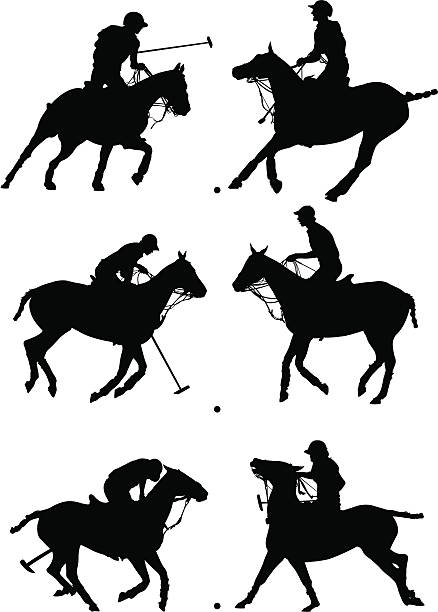 Profili di Polo - illustrazione arte vettoriale