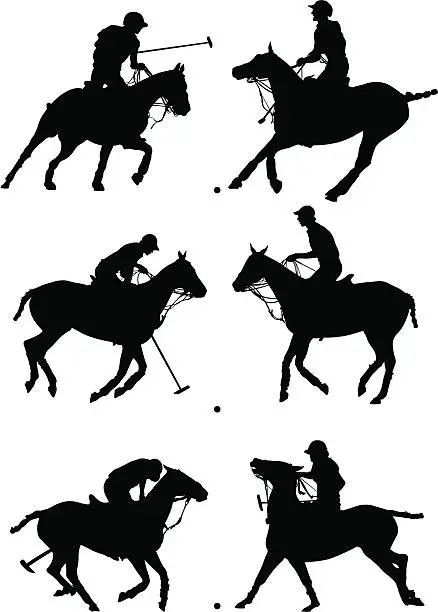 Vector illustration of Polo Profiles