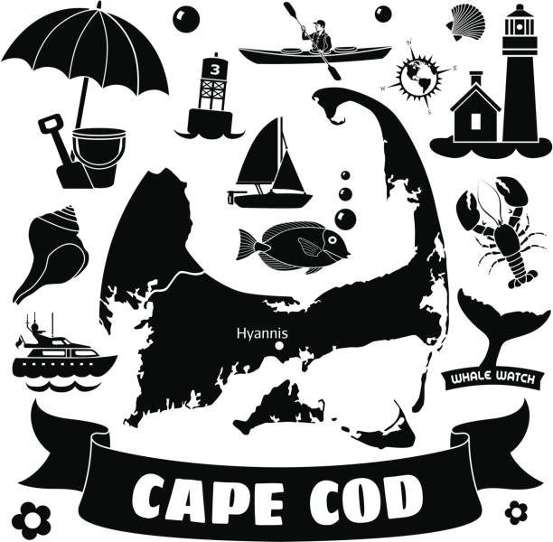 illustrations, cliparts, dessins animés et icônes de cape cod - cape cod national seashore