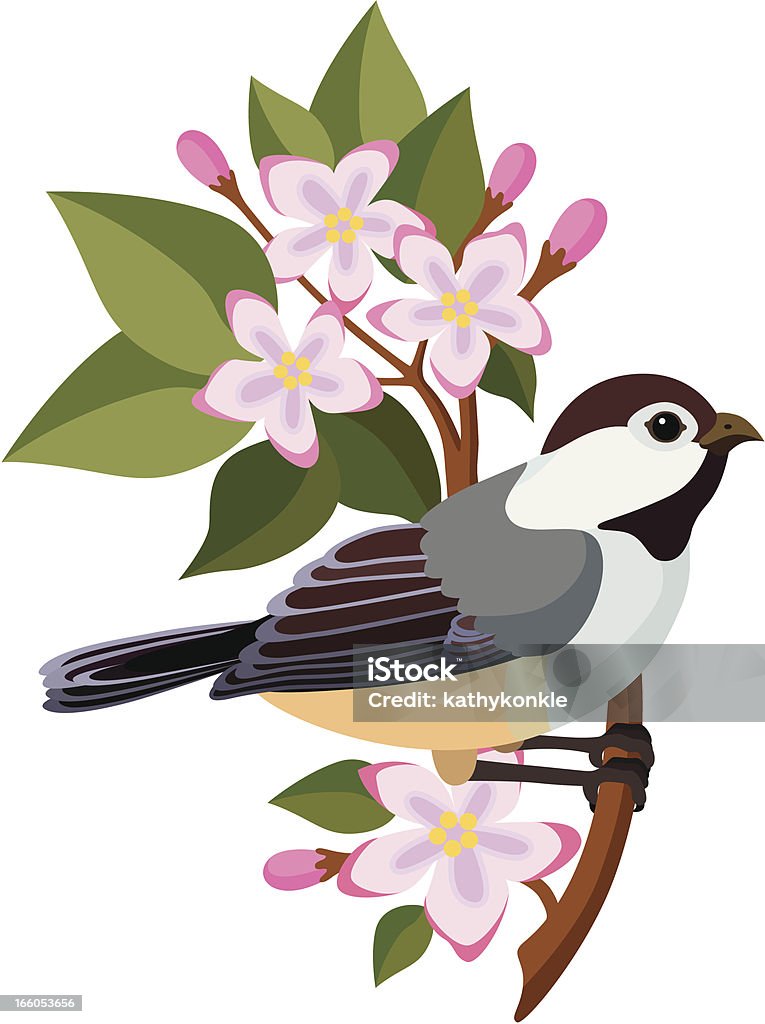 chickadee and mayflowers A vector illustration of a chickadee perched on mayflowers. The chickadee is the state bird of Massachusetts and the mayflower is the state flower. Chickadee stock vector
