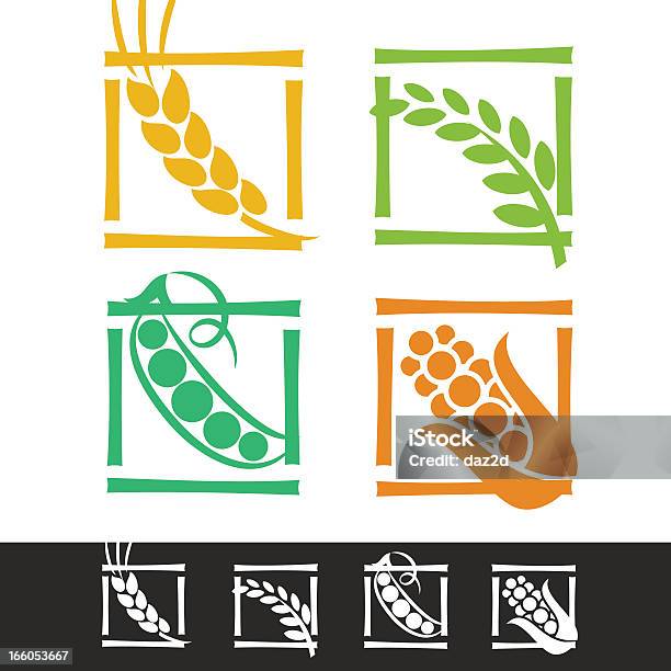 Set Di Cereali Orecchie - Immagini vettoriali stock e altre immagini di Raccolto di avena - Raccolto di avena, Triticale - Cereale, Raccolto