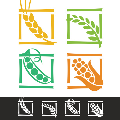 Set of cereal symbols for agriculture design.