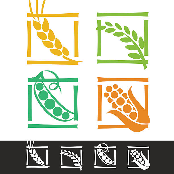 SET OF CEREAL EARS Set of cereal symbols for agriculture design. oat crop stock illustrations